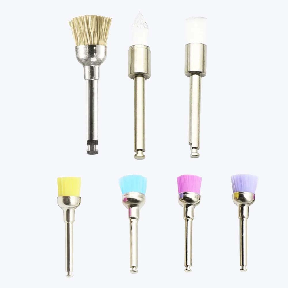 Cotisen Prophy Polishing Brushes (Pack Of 100)